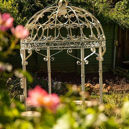 Lincoln Cottages Bnb & Self-Catering 彼得马里茨堡 外观 照片